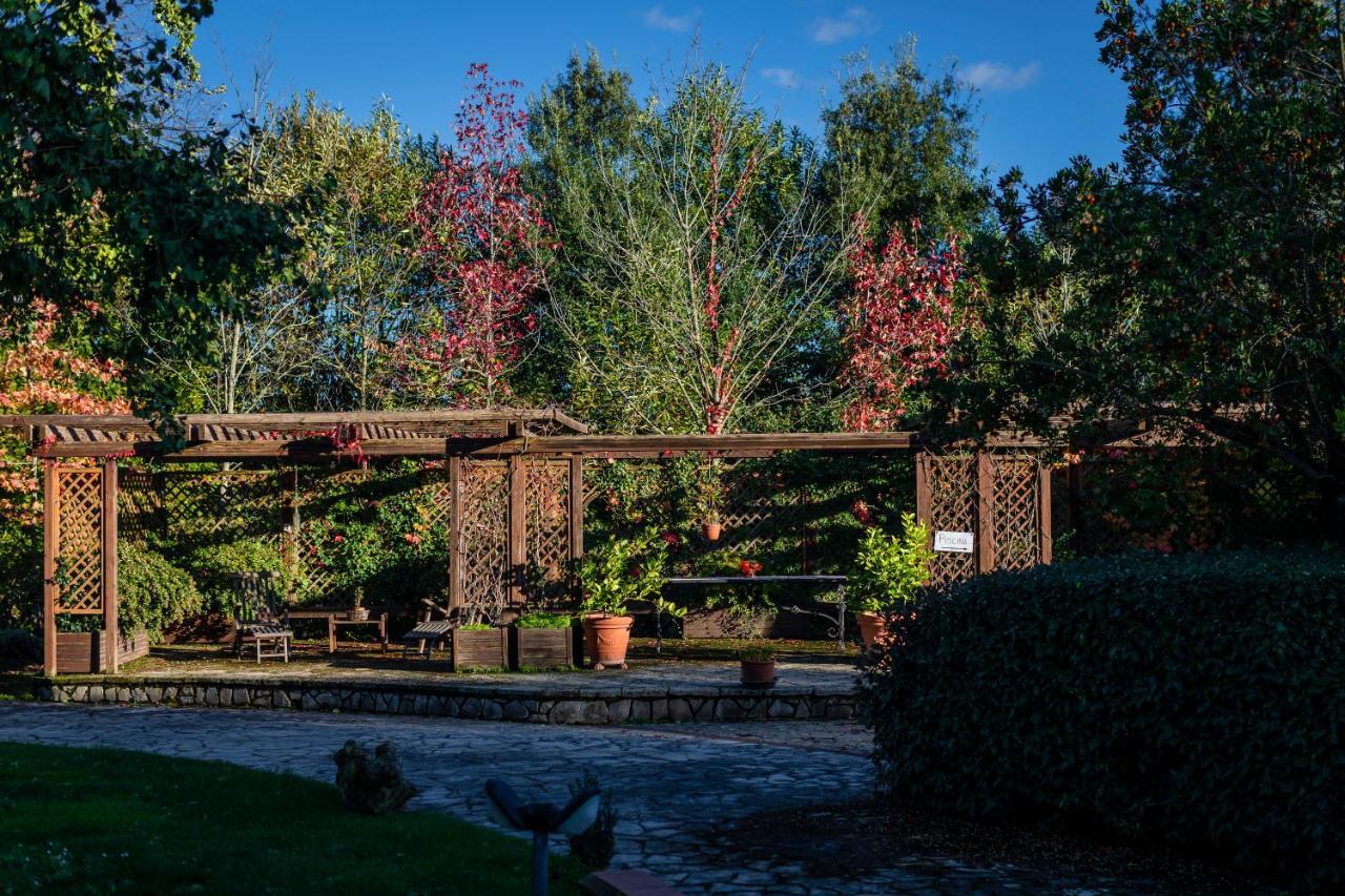 Le Fontanelle Apartamento Bagnoregio Exterior foto