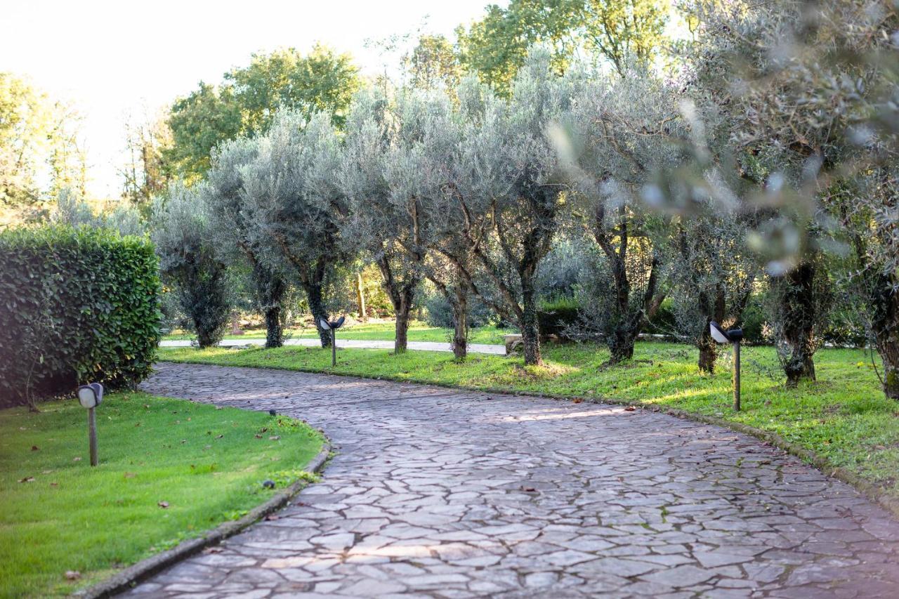 Le Fontanelle Apartamento Bagnoregio Exterior foto